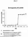 Fig. 03 - PHARMACEUTICAL FORMULATIONS
