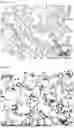 Fig. 07 - NOBLE COLD-ADAPTED ATTENUATED MERS-COV