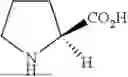 Fig. 06 - BETA-PEPTIDES AND BETA-PEPTIDE HYDROGELS