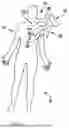 Fig. 06 - MEDICINAL EYEWEAR AND OPTICAL DEVICES