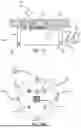 Fig. 15 - MEDICINAL EYEWEAR AND OPTICAL DEVICES