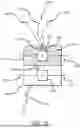 Fig. 24 - MEDICINAL EYEWEAR AND OPTICAL DEVICES