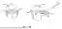 Fig. 42 - MEDICINAL EYEWEAR AND OPTICAL DEVICES