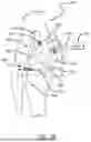 Fig. 47 - MEDICINAL EYEWEAR AND OPTICAL DEVICES