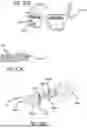 Fig. 53 - MEDICINAL EYEWEAR AND OPTICAL DEVICES