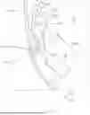 Fig. 04 - WEARABLE ROBOT