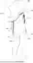 Fig. 01 - TRUNK SUPPORTING EXOSKELETON AND METHOD OF USE