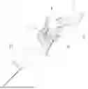 Fig. 01 - SCISSORS BLADE STRUCTURE AND ELECTRIC SCISSORS