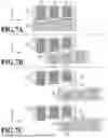 Fig. 08 - METHOD OF MANUFACTURING MOLDED ARTICLE