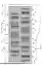 Fig. 09 - PRINTING APPARATUS AND PRINTING METHOD