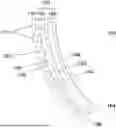 Fig. 01 - DEVICES FOR PROTECTING A BODY FROM DAMAGE