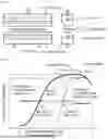 Fig. 02 - THERMAL BONDING METHOD FOR PLASTIC BAG AND METHOD OF MANUFACTURING PLASTIC BAG