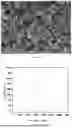 Fig. 07 - CATHODE MATERIAL, PREPARATION METHOD THEREOF, CATHODE PLATE, AND SECONDARY BATTERY