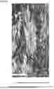 Fig. 04 - POLYSILICON ROD AND METHOD FOR MANUFACTURING POLYSILICON ROD