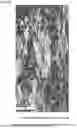 Fig. 05 - POLYSILICON ROD AND METHOD FOR MANUFACTURING POLYSILICON ROD