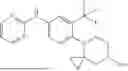 Fig. 216 - NOVEL GSPT PROTEIN DEGRADER AND APPLICATION THEREOF