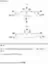 Fig. 02 - Complexes and Compounds of Mercaptophenols and Curcumin for Therapeutic Applications