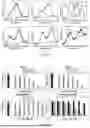 Fig. 08 - Complexes and Compounds of Mercaptophenols and Curcumin for Therapeutic Applications