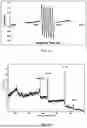 Fig. 22 - Complexes and Compounds of Mercaptophenols and Curcumin for Therapeutic Applications