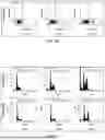 Fig. 44 - Complexes and Compounds of Mercaptophenols and Curcumin for Therapeutic Applications