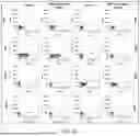 Fig. 46 - Complexes and Compounds of Mercaptophenols and Curcumin for Therapeutic Applications