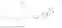 Fig. 367 - LIPID AMINES