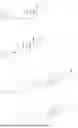 Fig. 726 - LIPID AMINES