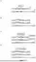 Fig. 02 - TRI-SEGMENTED PICHINDE VIRUSES AS VACCINE VECTORS