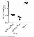 Fig. 08 - TRI-SEGMENTED PICHINDE VIRUSES AS VACCINE VECTORS