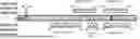 Fig. 01 - SARS-COV-2 ANTIBODIES AND METHODS OF USING THE SAME
