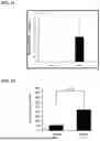 Fig. 07 - SH3YL1 Antibodies, Compositions Comprising the Same, and Vectors and Uses Thereof