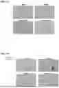 Fig. 08 - SH3YL1 Antibodies, Compositions Comprising the Same, and Vectors and Uses Thereof