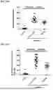 Fig. 22 - SH3YL1 Antibodies, Compositions Comprising the Same, and Vectors and Uses Thereof