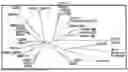 Fig. 02 - COMPOSITIONS AND METHODS FOR GROWTH FACTOR MODULATION
