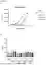 Fig. 08 - MONOVALENT CD47 BINDING PROTEINS