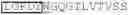 Fig. 22 - PD-1 BNDING PROTEINS, VEGF AND PD-1 BISPECIFIC BINDING PROTEINS, COMPOSITIONS, AND METHODS OF USE