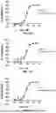 Fig. 43 - PD-1 BNDING PROTEINS, VEGF AND PD-1 BISPECIFIC BINDING PROTEINS, COMPOSITIONS, AND METHODS OF USE