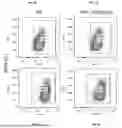 Fig. 02 - COMPOSITIONS AND METHODS FOR TREATING CANCER