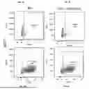 Fig. 03 - COMPOSITIONS AND METHODS FOR TREATING CANCER