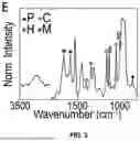 Fig. 04 - BIOCOMPOSITE MATERIALS AND RELATED COMPOSITIONS, METHODS AND SYSTEMS