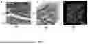 Fig. 08 - BIOCOMPOSITE MATERIALS AND RELATED COMPOSITIONS, METHODS AND SYSTEMS