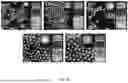 Fig. 06 - GREEN QUANTUM DOTS WITH A GRADIENT LAYER AND MANUFACTURING METHOD THEREOF