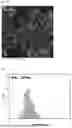 Fig. 08 - GREEN QUANTUM DOTS WITH A GRADIENT LAYER AND MANUFACTURING METHOD THEREOF