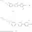 Fig. 197 - SELF ALIGNMENT AGENT AND LIQUID CRYSTAL COMPOSITION THEREOF
