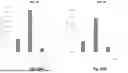 Fig. 76 - SYSTEMS FOR PRODUCTION OF PRODUCTS TO PROMOTE NITROGEN USE EFFICIENCY IN PLANTS