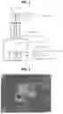 Fig. 02 - TITANIUM ALLOY ADDITIVE MANUFACTURING PRODUCT AND METHOD OF MANUFACTURING THE SAME