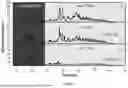 Fig. 02 - PROBE AND METHODS FOR IDENTIFYING HOST CELL PROTEIN IMPURITIES