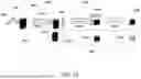 Fig. 22 - Inferring Coding Region Adaptive Hierarchical Transform (RAHT) Prediction Mode