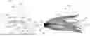 Fig. 01 - OFFSET AXIS SPINNERBAIT