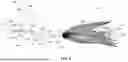 Fig. 07 - OFFSET AXIS SPINNERBAIT